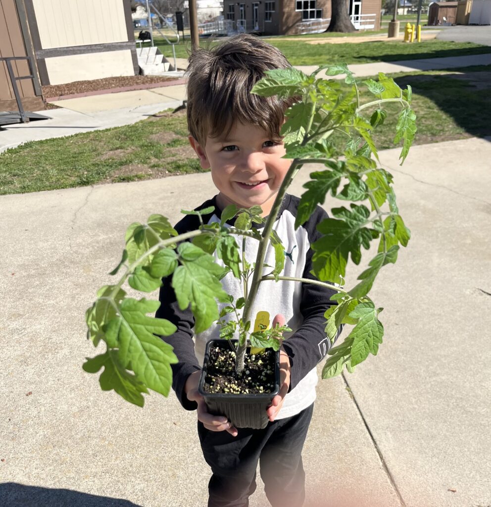 Boy holding a plant